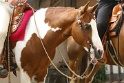 27-APHA OT_091